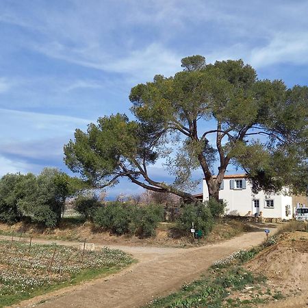 Domaine Saint Augustin Villa Rieux-Minervois Buitenkant foto