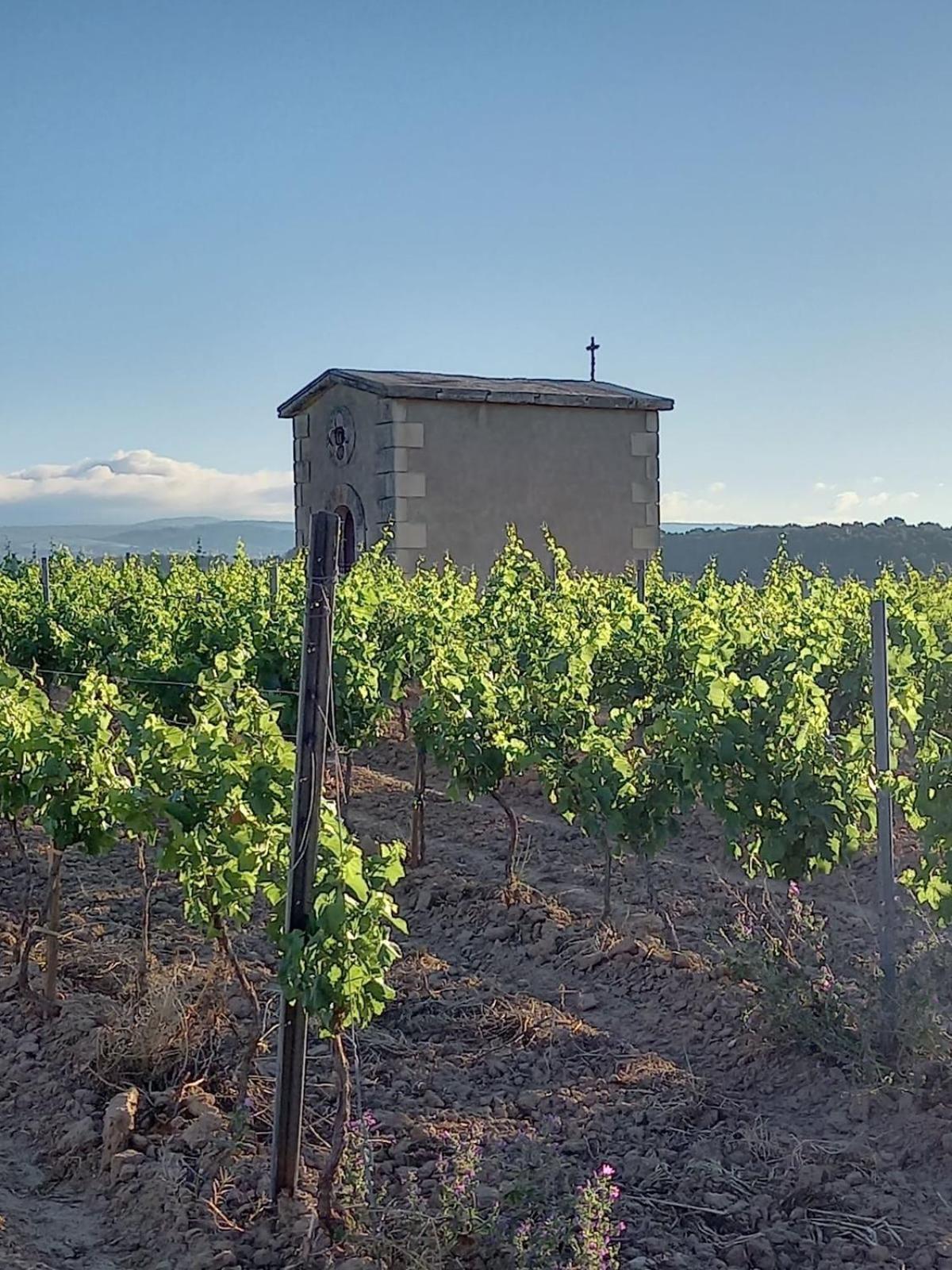 Domaine Saint Augustin Villa Rieux-Minervois Buitenkant foto