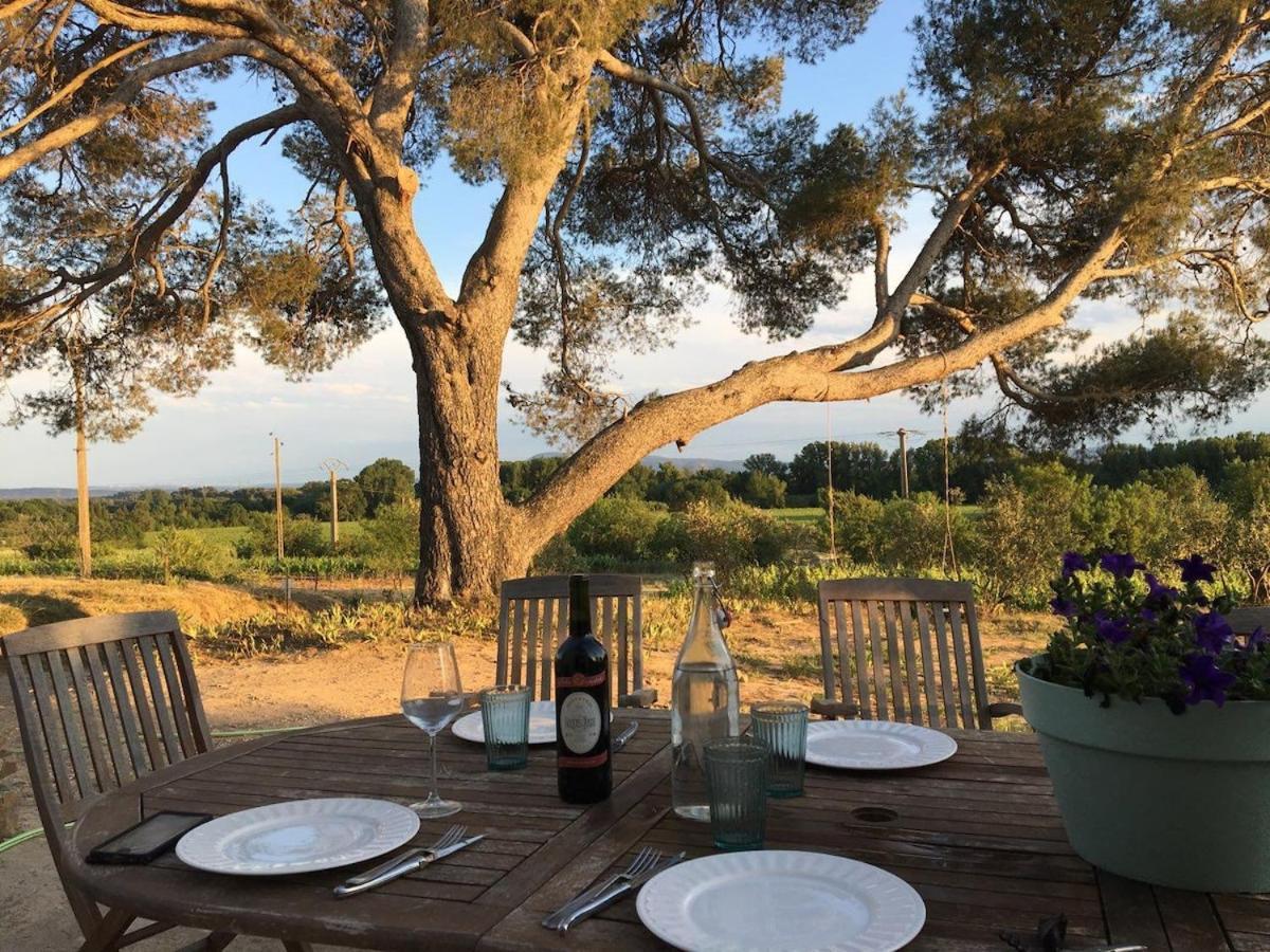 Domaine Saint Augustin Villa Rieux-Minervois Buitenkant foto