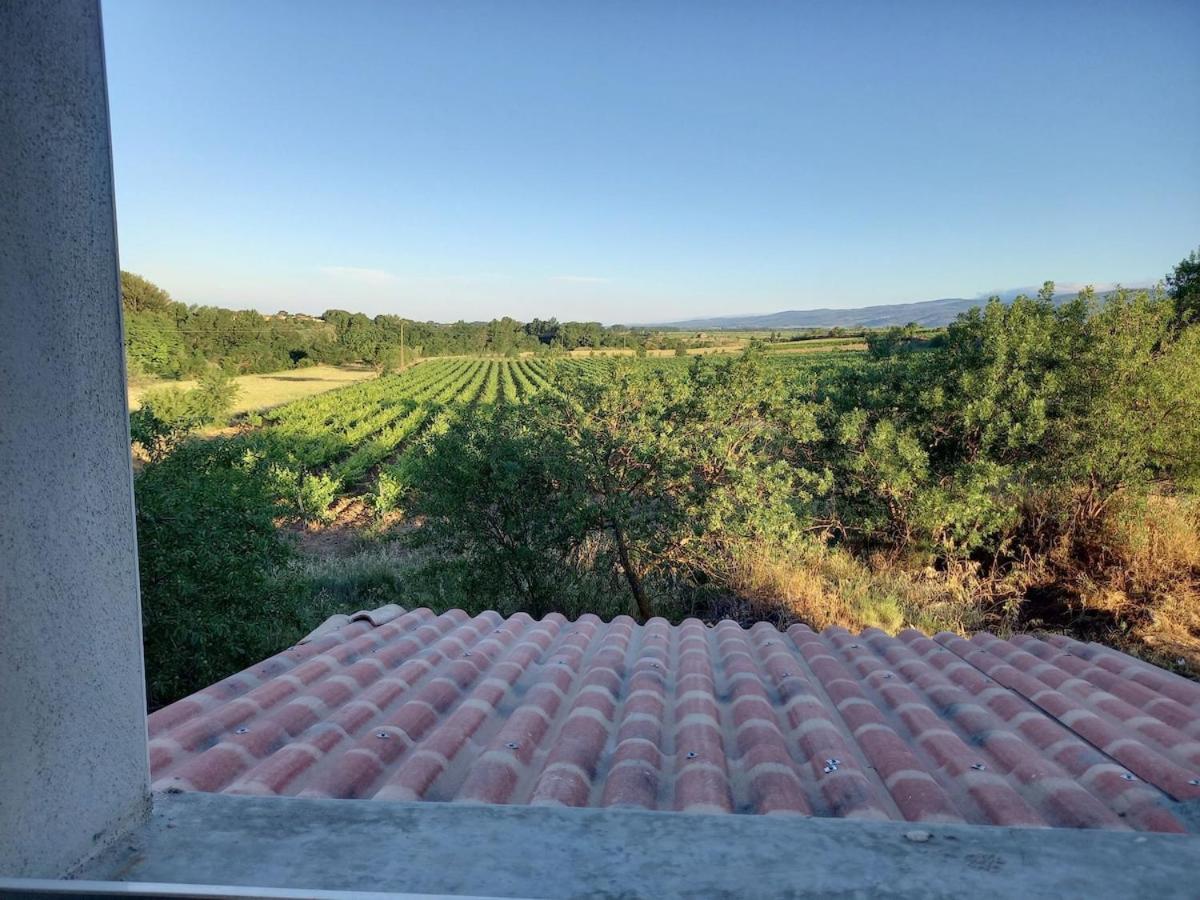 Domaine Saint Augustin Villa Rieux-Minervois Buitenkant foto