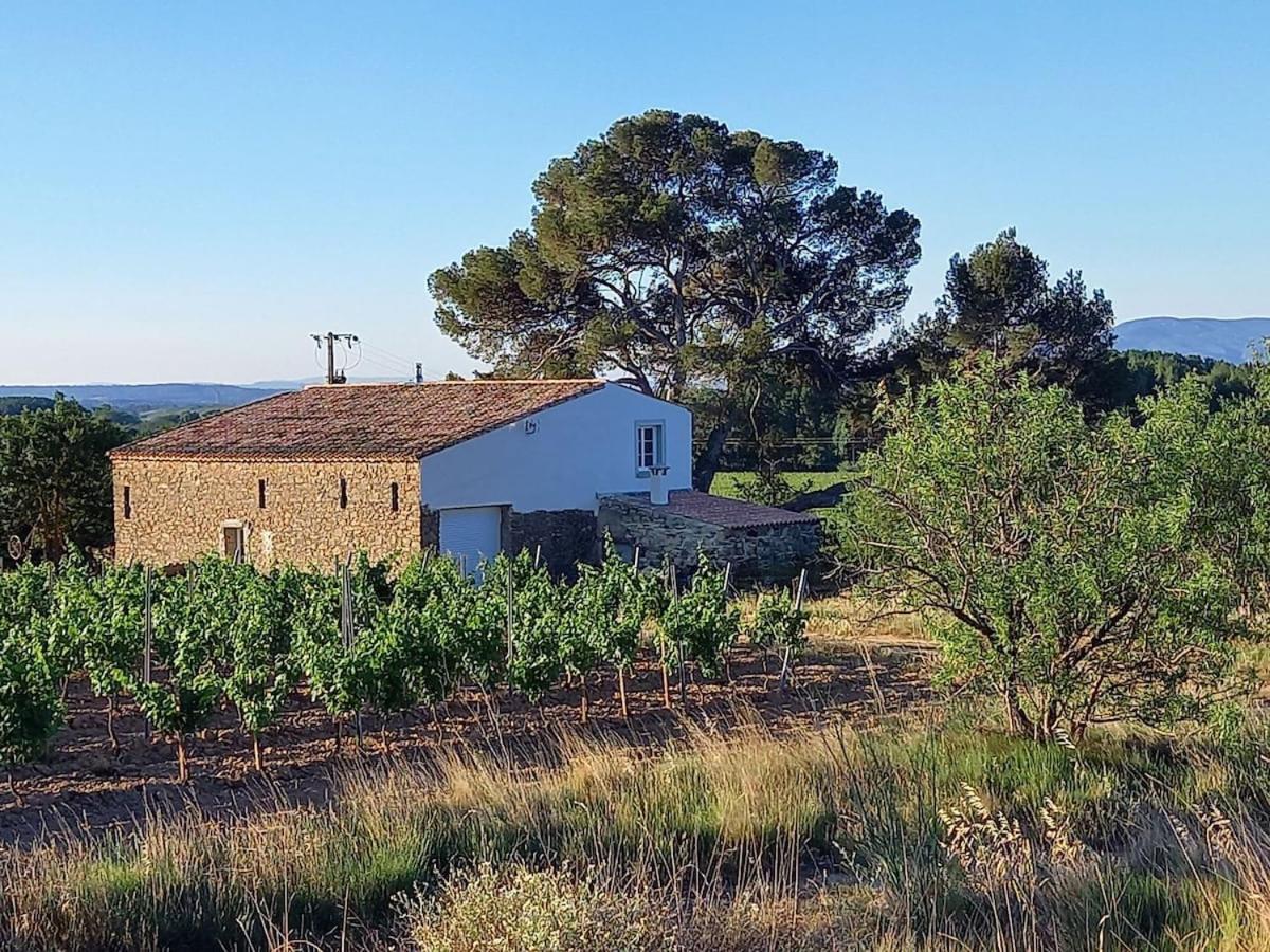 Domaine Saint Augustin Villa Rieux-Minervois Buitenkant foto